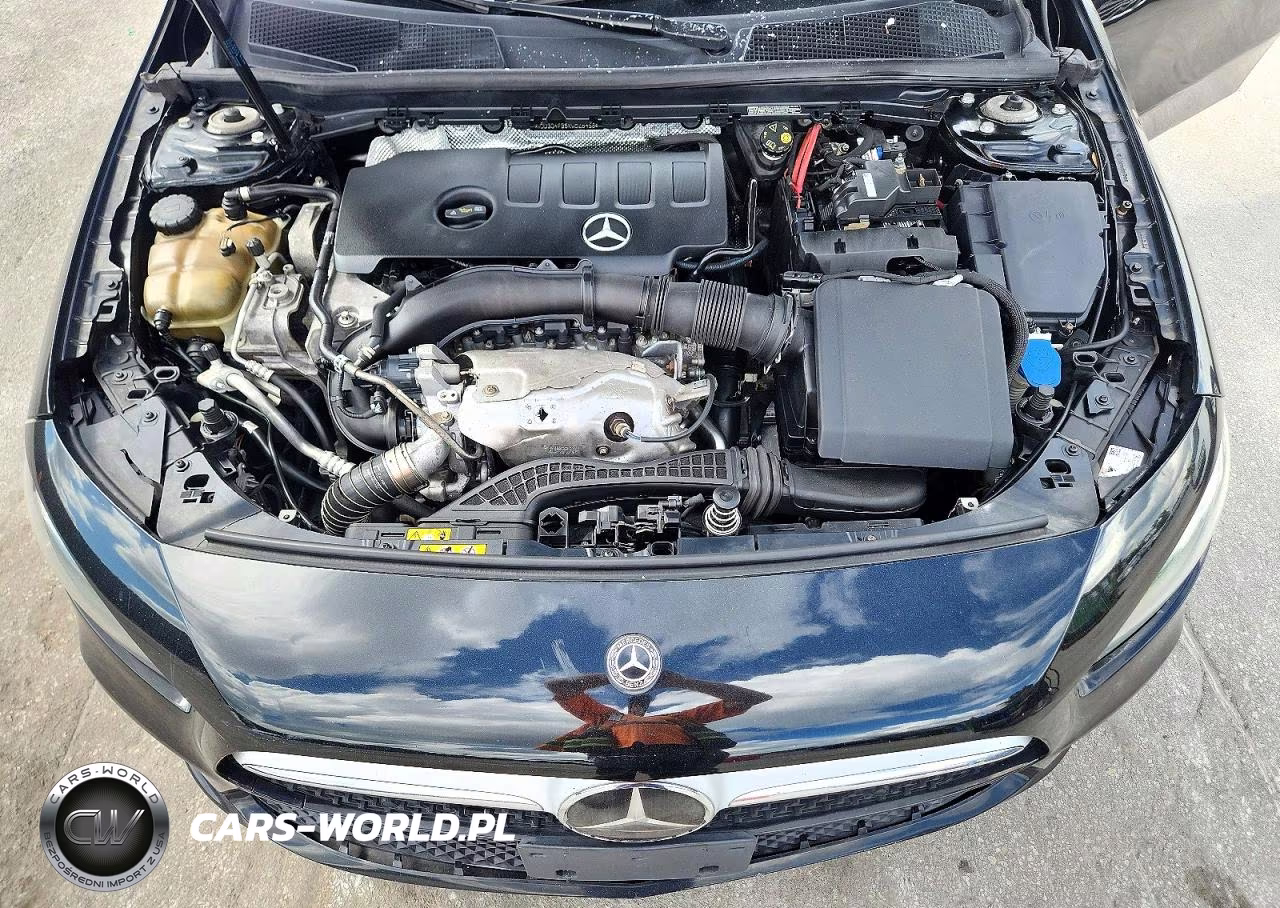 2019 Mercedes-Benz A 220 4Matic VIN:WDD3G4FB5KW018458 - 11
