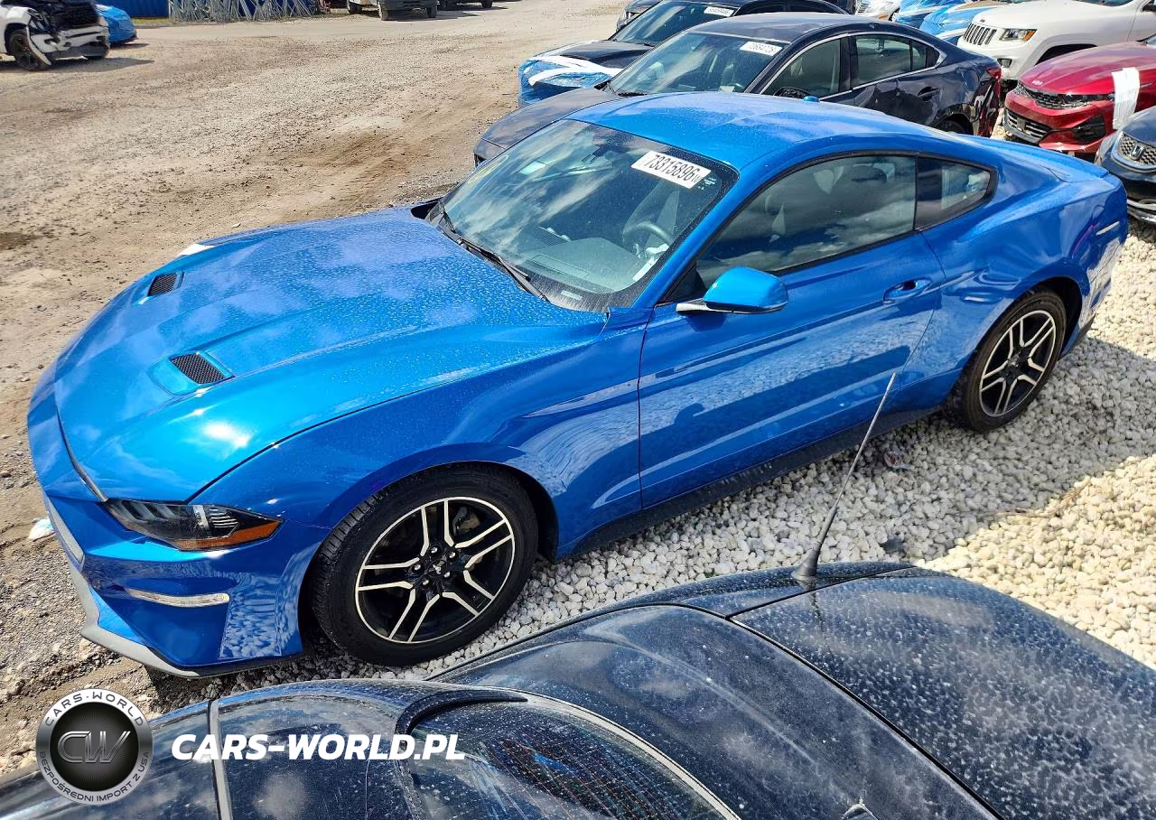2019 Ford Mustang – zdjęcie 1 z 12