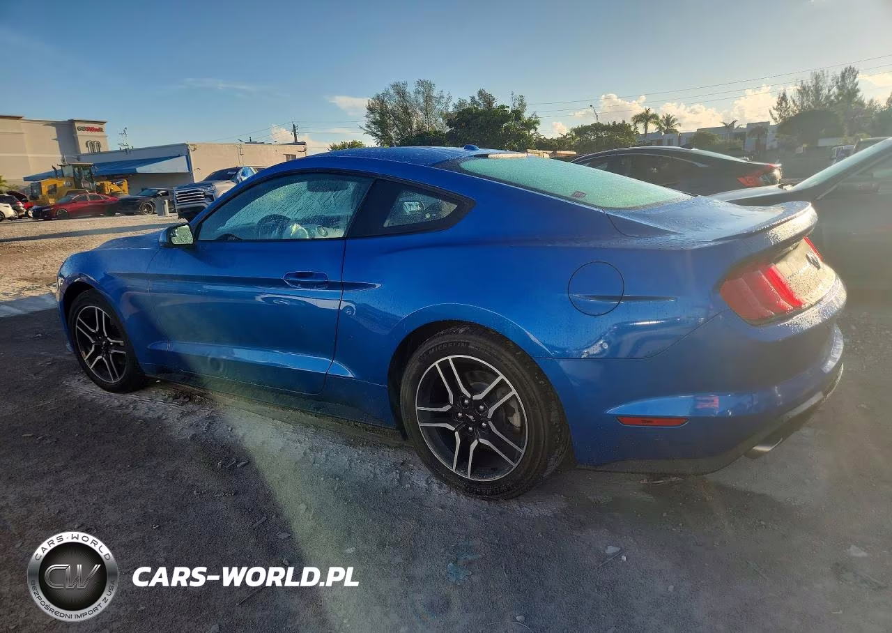 2019 Ford Mustang VIN:1FA6P8TH3K5132798 - 2