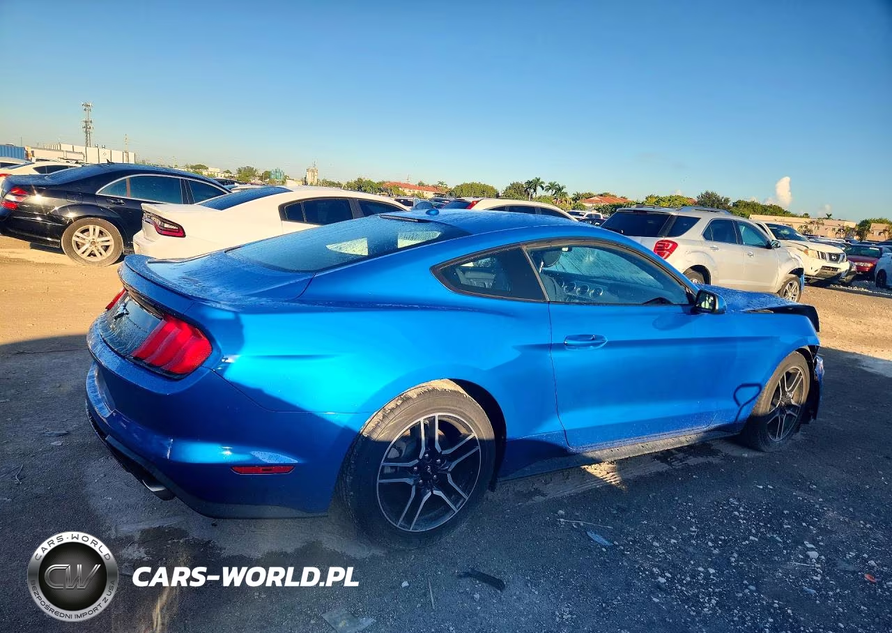 2019 Ford Mustang VIN:1FA6P8TH3K5132798 - 3