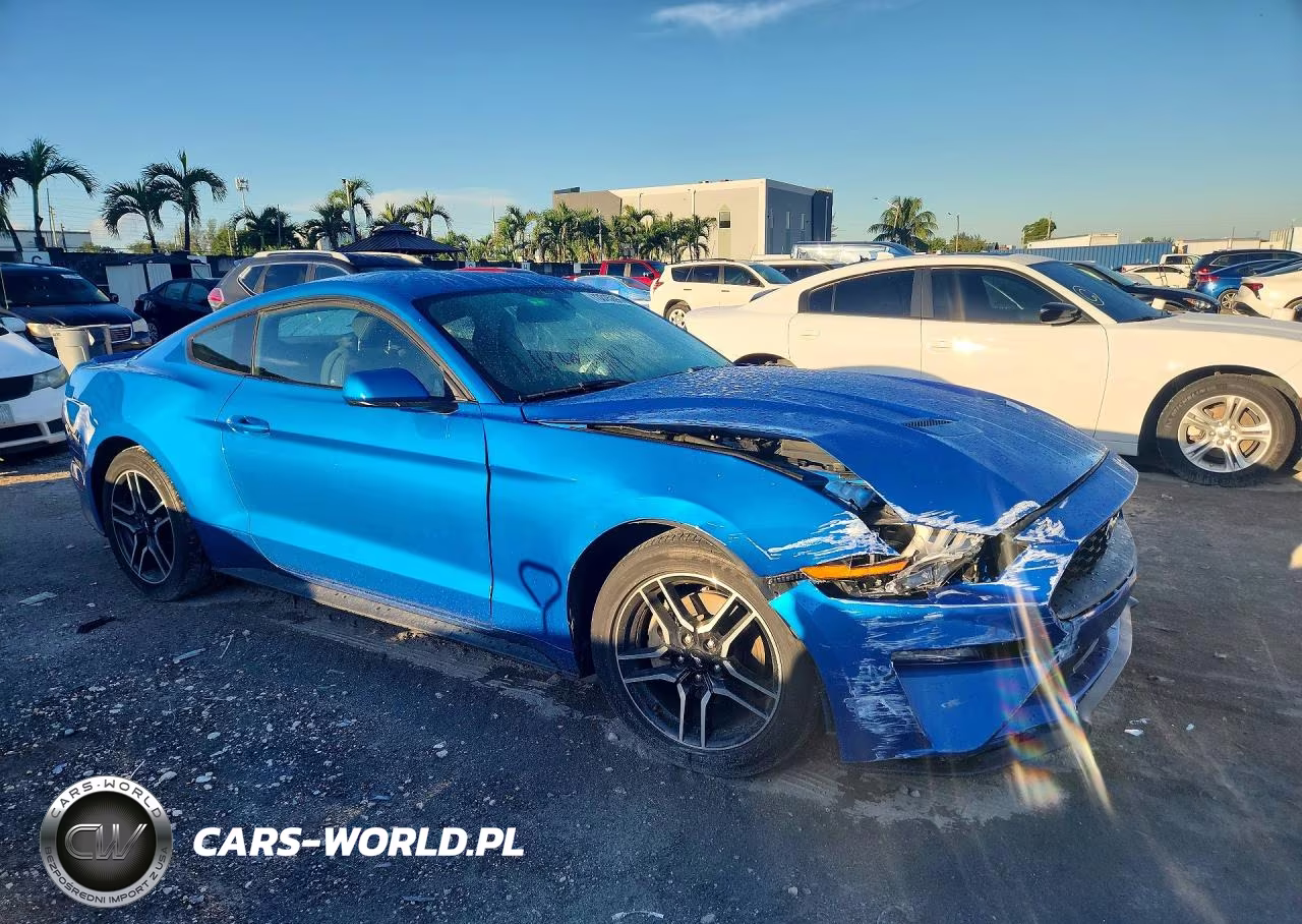 2019 Ford Mustang VIN:1FA6P8TH3K5132798 - 4