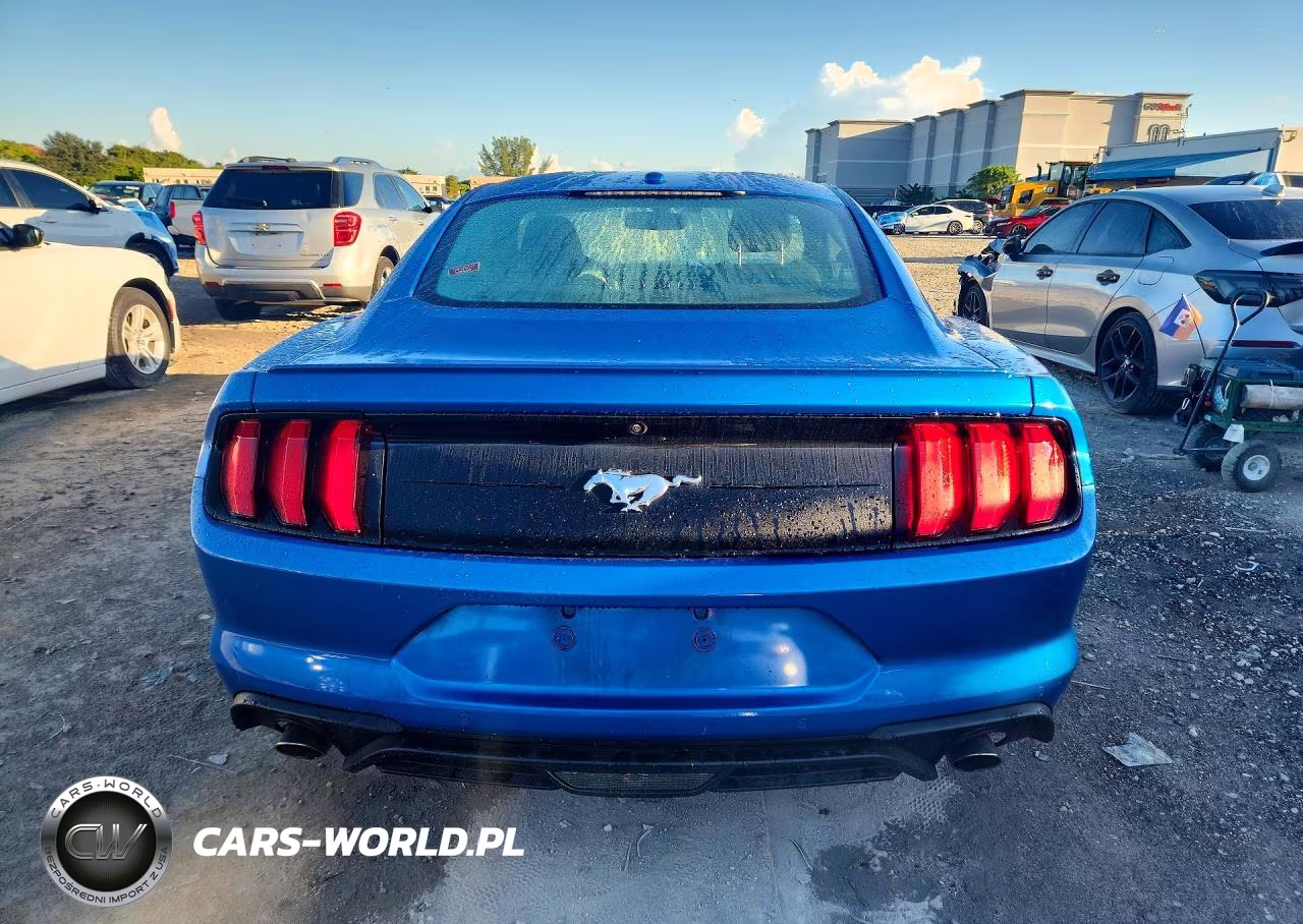 2019 Ford Mustang VIN:1FA6P8TH3K5132798 - 6