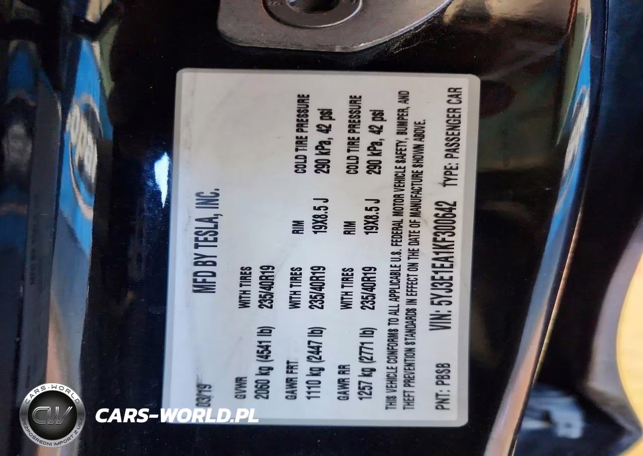 2019 Tesla Model 3 VIN:5YJ3E1EA1KF300642 - 12