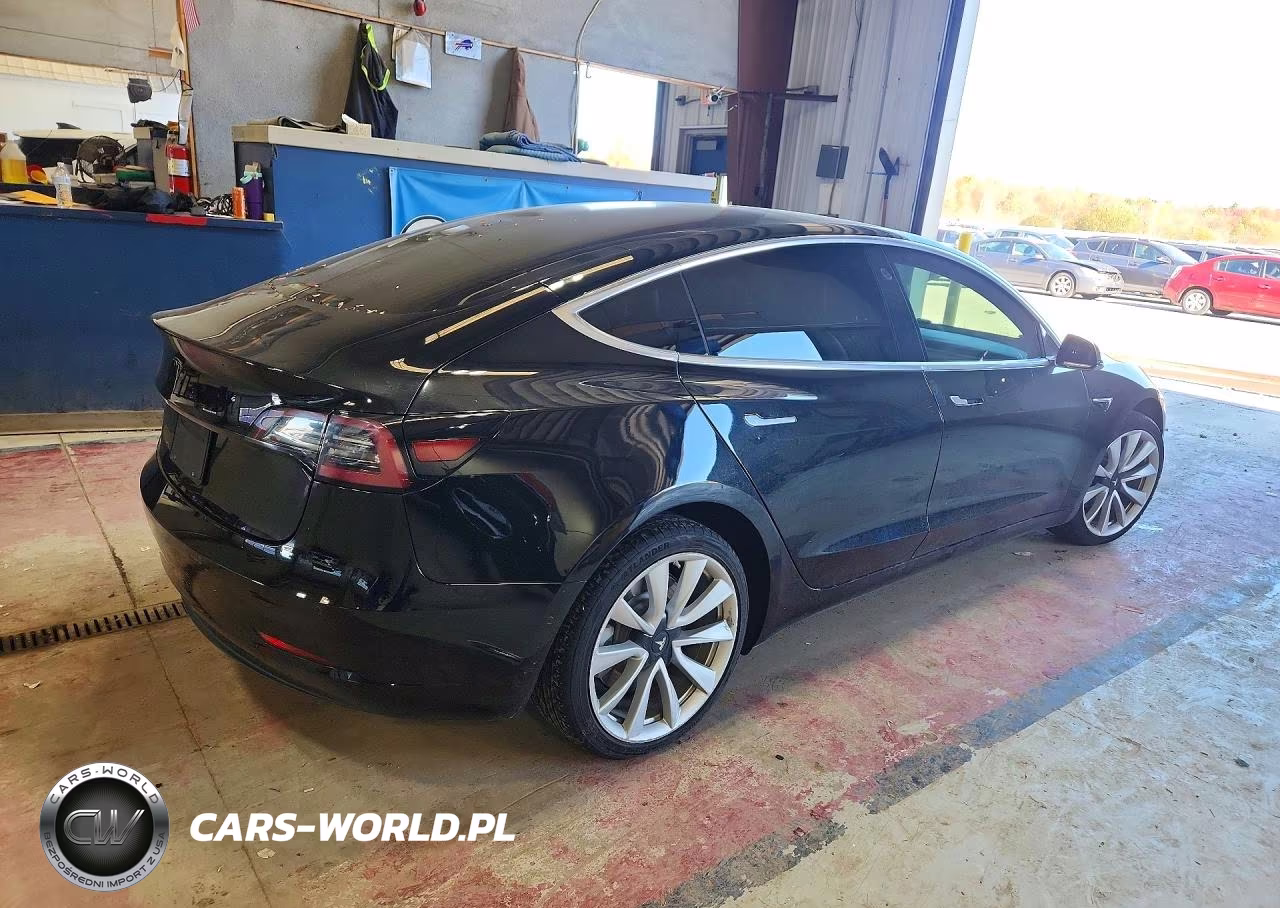 2019 Tesla Model 3 VIN:5YJ3E1EA1KF300642 - 3