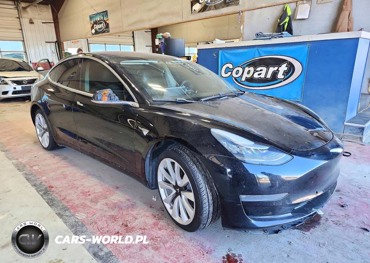 2019 Tesla Model 3 VIN:5YJ3E1EA1KF300642 - 4