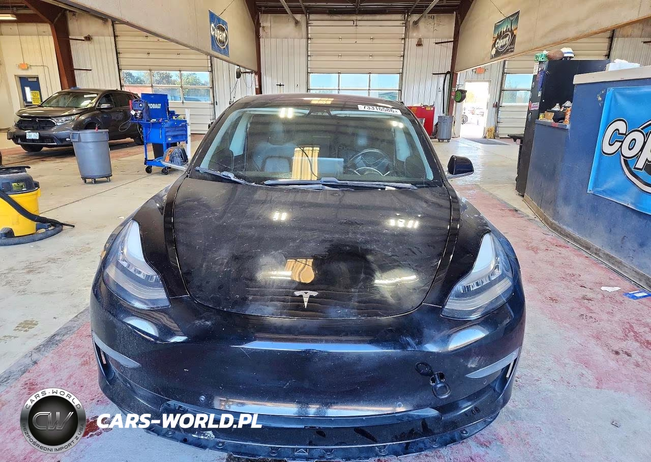 2019 Tesla Model 3 VIN:5YJ3E1EA1KF300642 - 5
