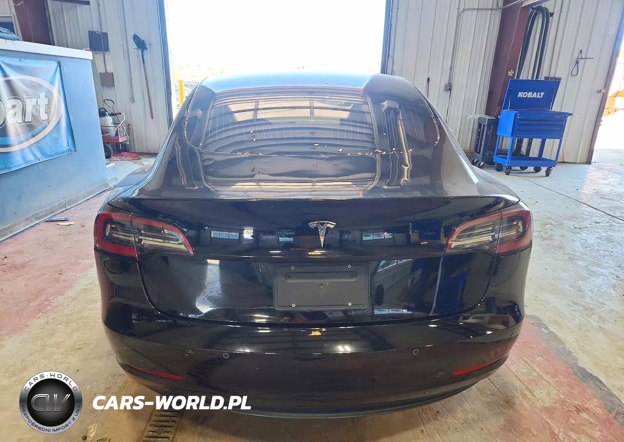 2019 Tesla Model 3 VIN:5YJ3E1EA1KF300642 - 6