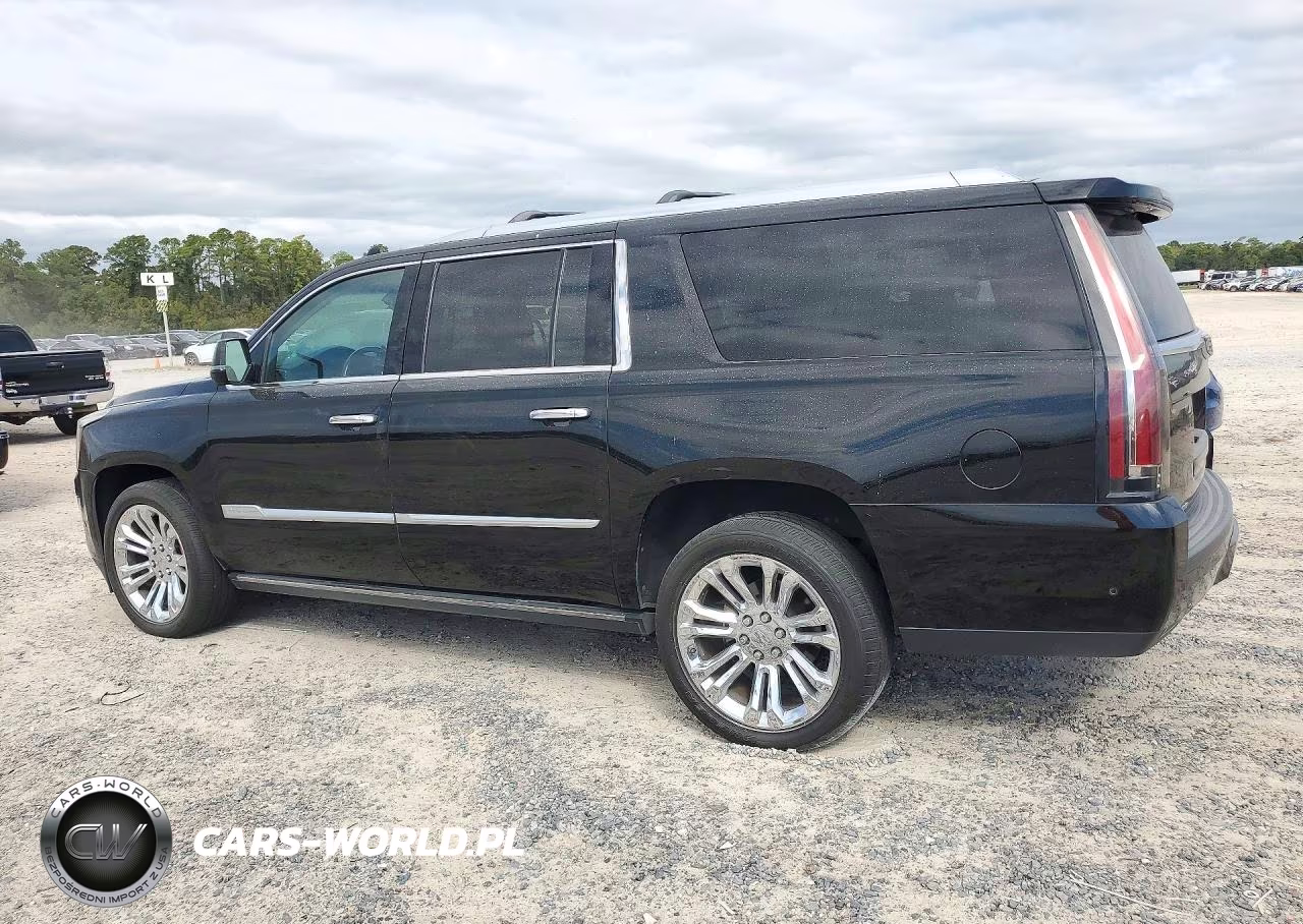 2019 Cadillac Escalade Esv Premium Luxury VIN:1GYS4JKJ0KR333820 - 2