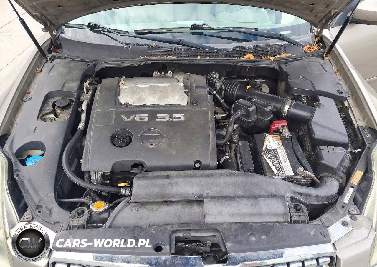 2006 Nissan Maxima 3.5 Se VIN:1N4BA41E46C865039 - 11