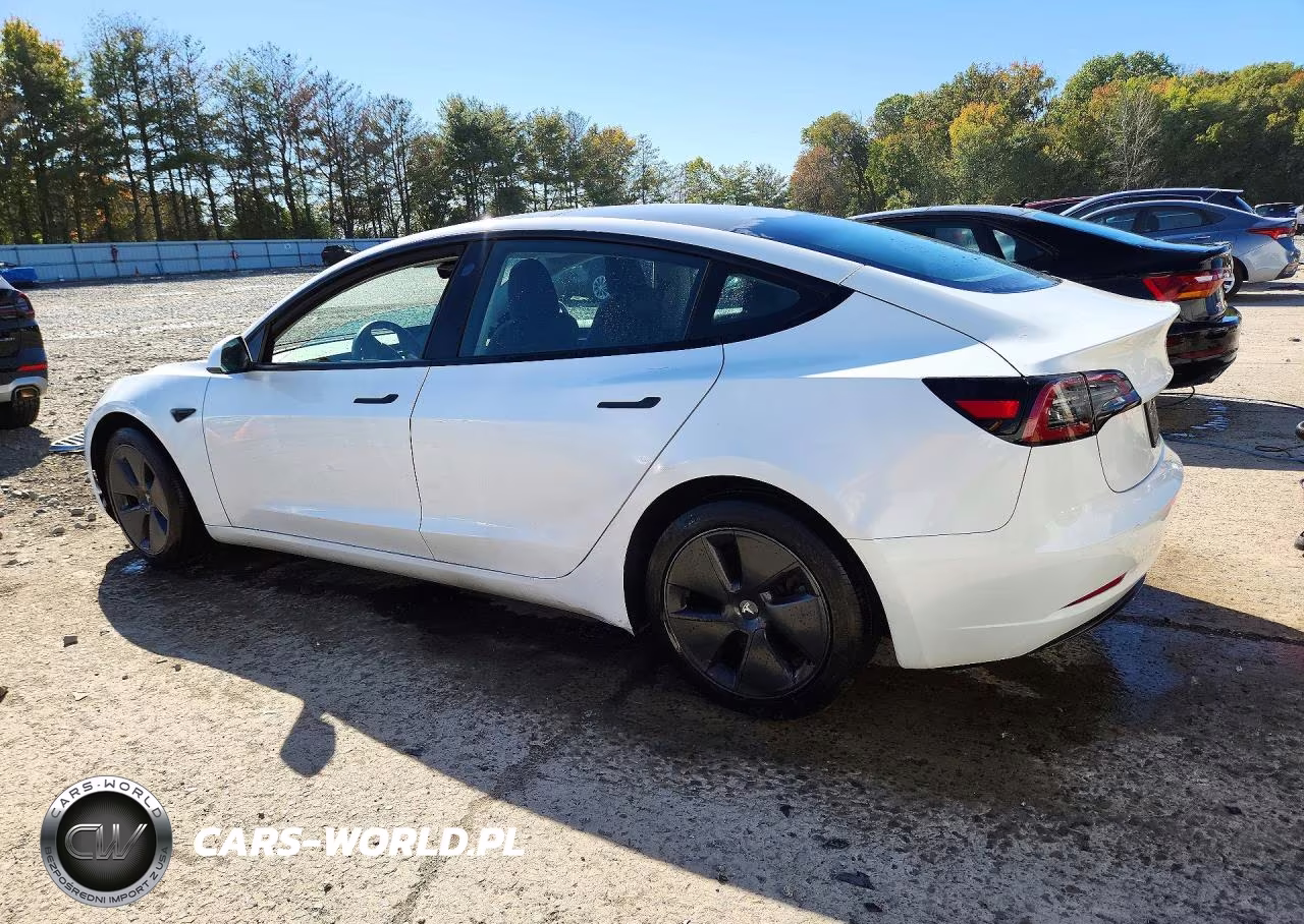 2023 Tesla Model 3 VIN:5YJ3E1EAXPF640895 - 2