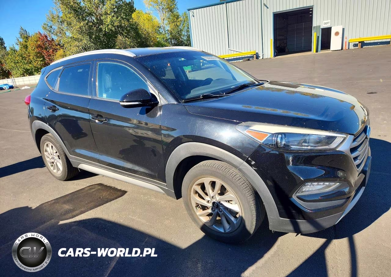 2017 Hyundai Tucson Eco VIN:KM8J3CA24HU271785 - 4