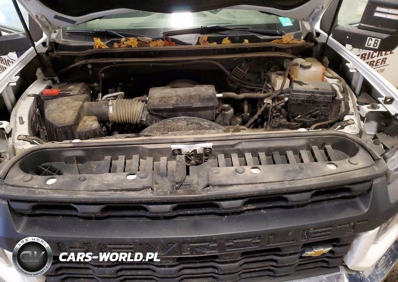 2022 Chevrolet Silverado K2500 Heavy Duty VIN:1GC0YLE71NF181047 - 11