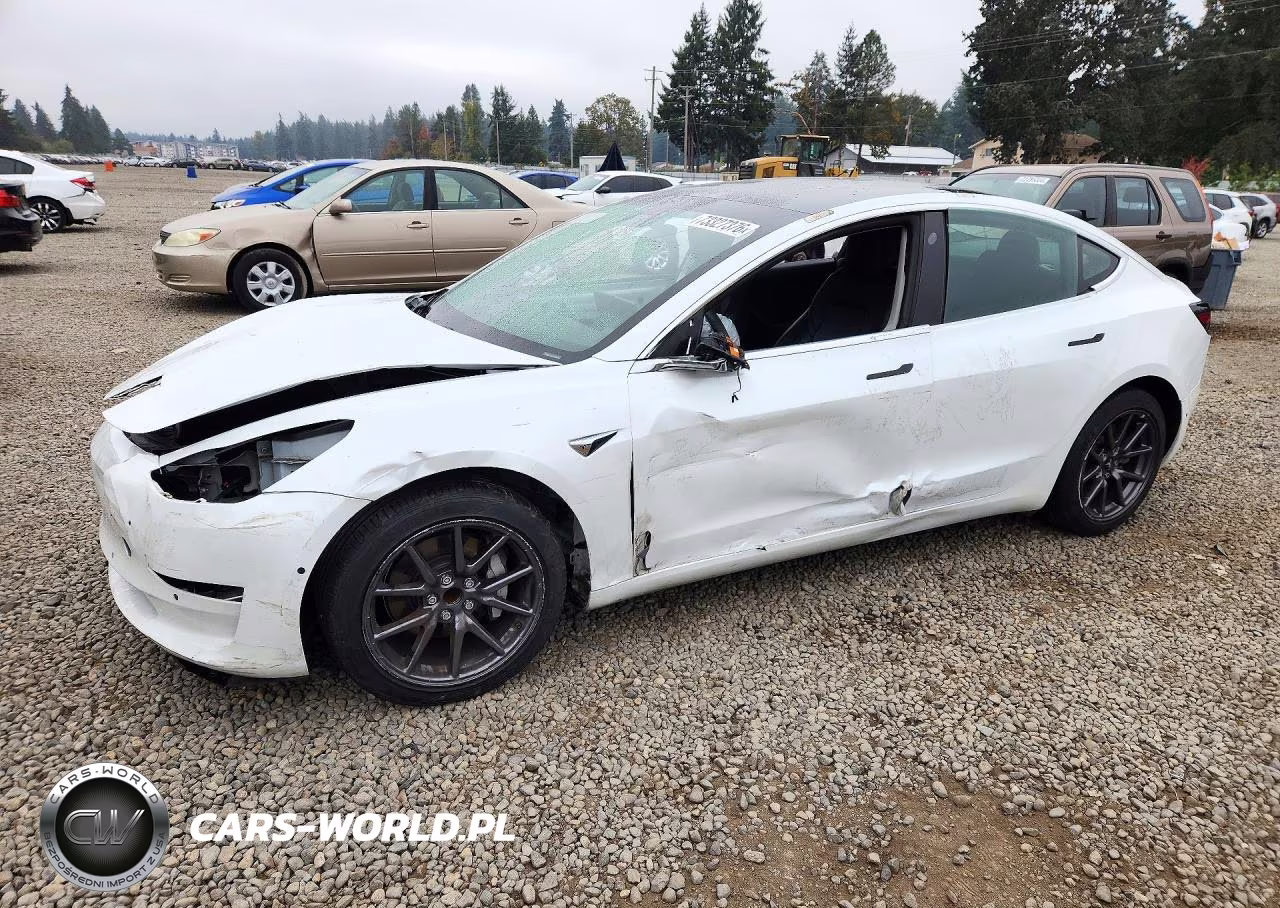 2020 Tesla Model 3 – zdjęcie 1 z 13