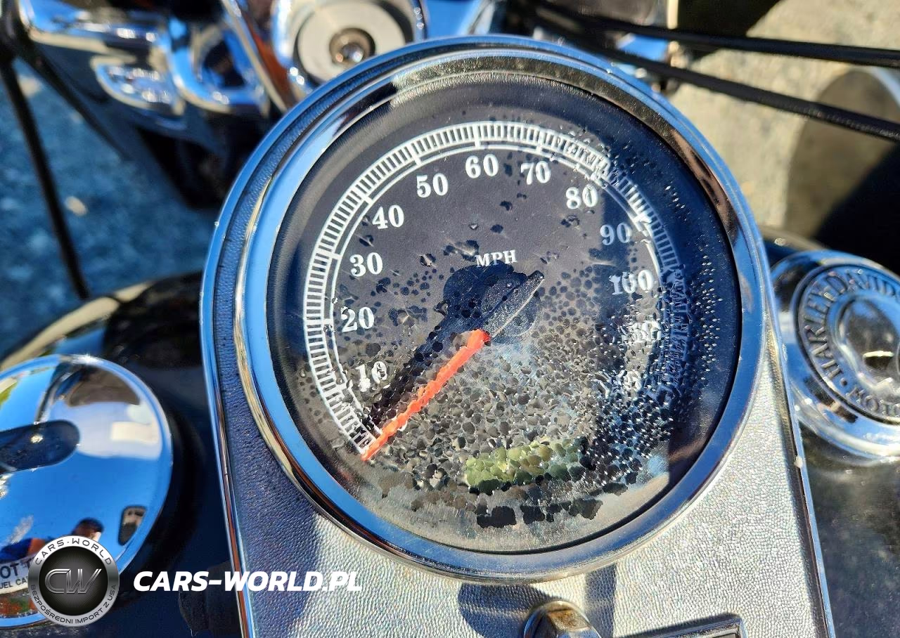 2005 Harley-Davidson Flhri VIN:1HD1FBW195Y686349 - 7