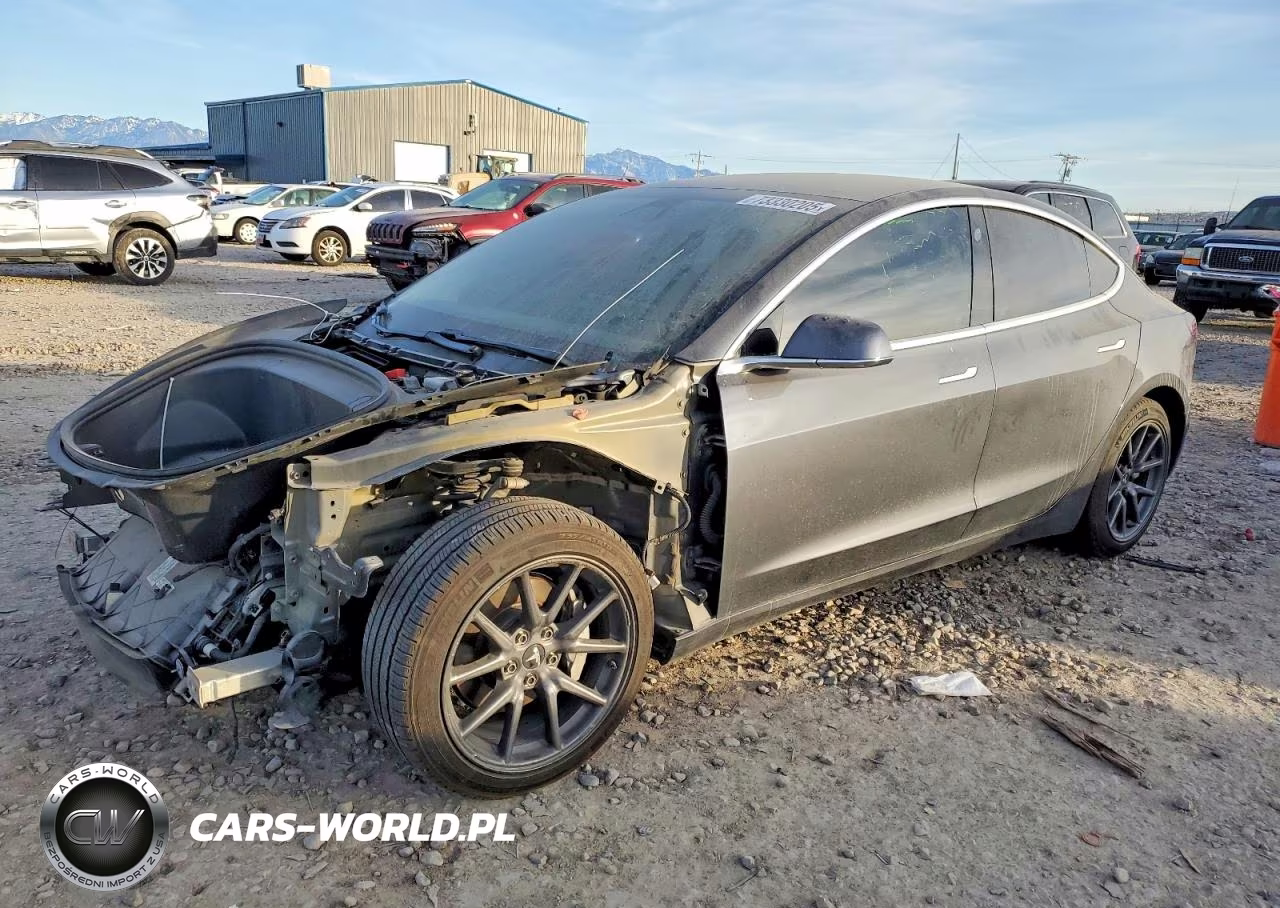 2019 Tesla Model 3