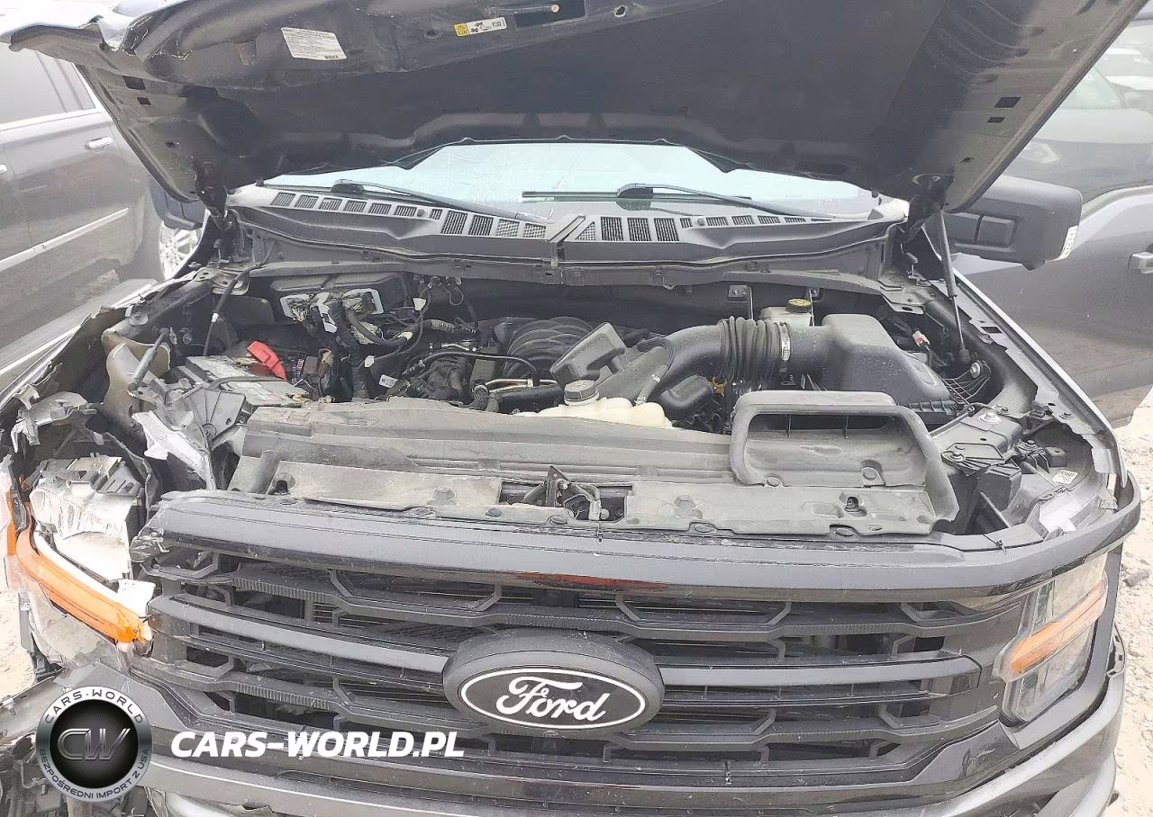 2024 Ford F150 Xlt VIN:1FTEW3K53RFA55034 - 11