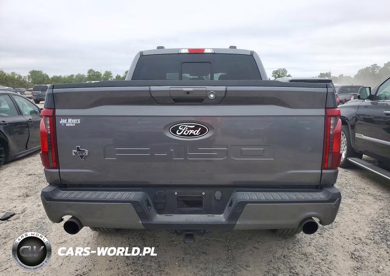 2024 Ford F150 Xlt VIN:1FTEW3K53RFA55034 - 6