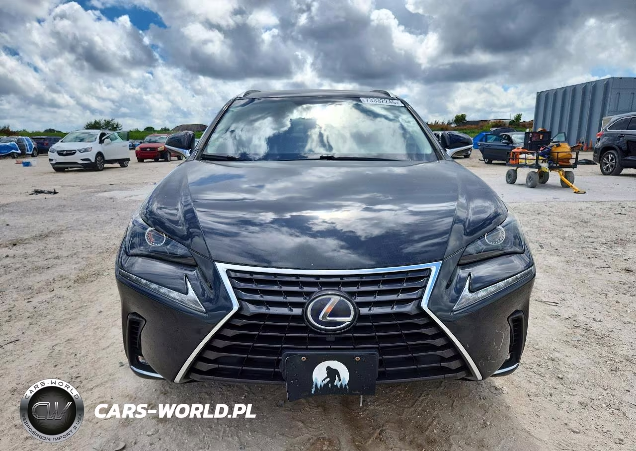 2019 Lexus Nx 300H VIN:JTJBJRBZ5K2108706 - 5