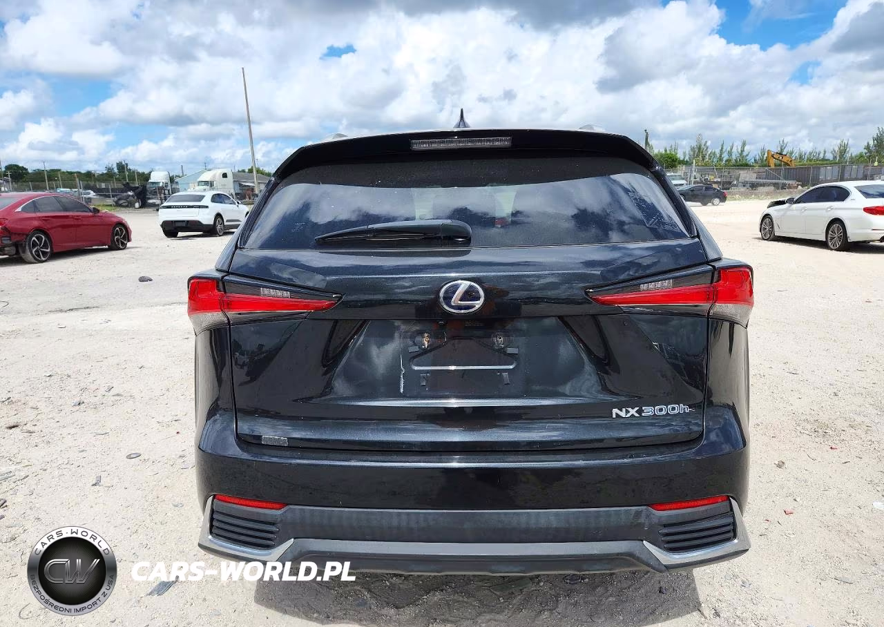2019 Lexus Nx 300H VIN:JTJBJRBZ5K2108706 - 6