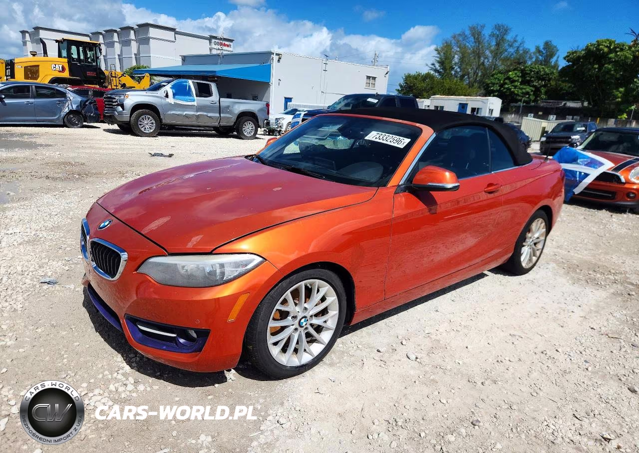 2016 BMW 228 Xi Sulev VIN:WBA1L9C52GV325542 - 1