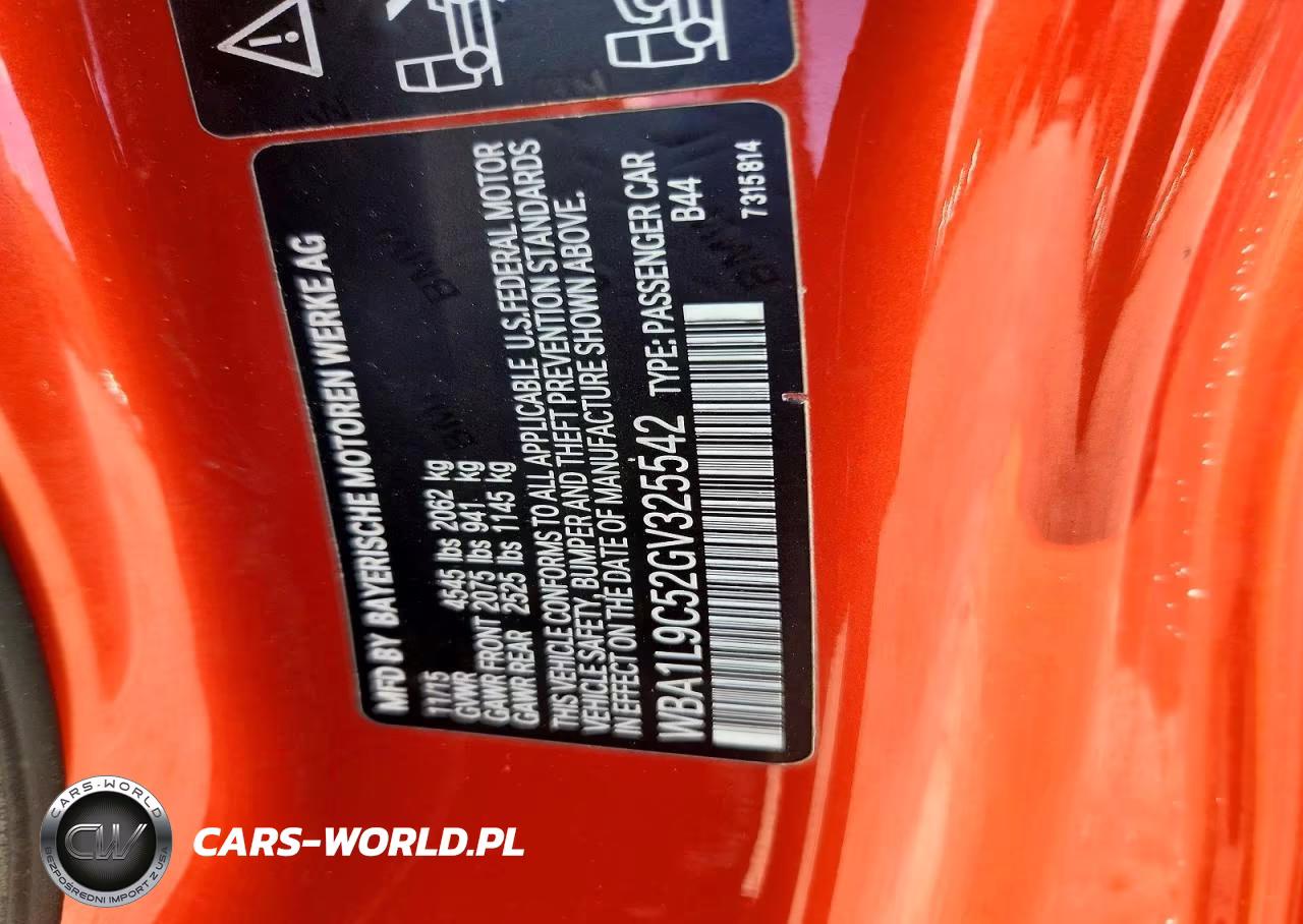 2016 BMW 228 Xi Sulev VIN:WBA1L9C52GV325542 - 13
