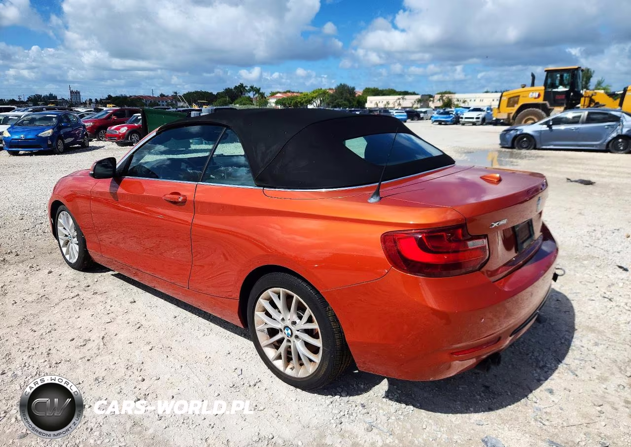 2016 BMW 228 Xi Sulev VIN:WBA1L9C52GV325542 - 2