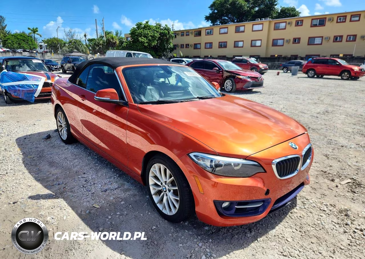 2016 BMW 228 Xi Sulev VIN:WBA1L9C52GV325542 - 4