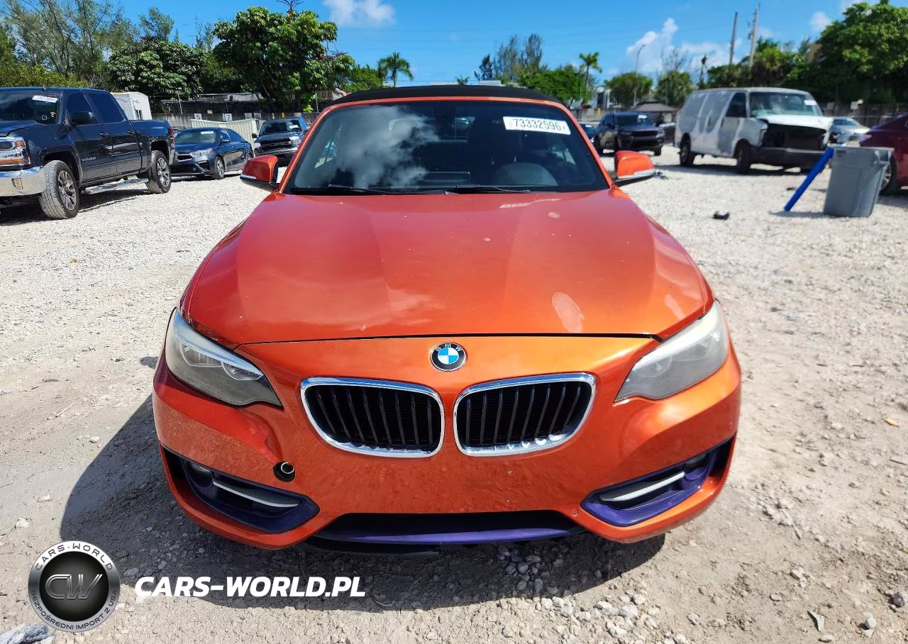 2016 BMW 228 Xi Sulev VIN:WBA1L9C52GV325542 - 5