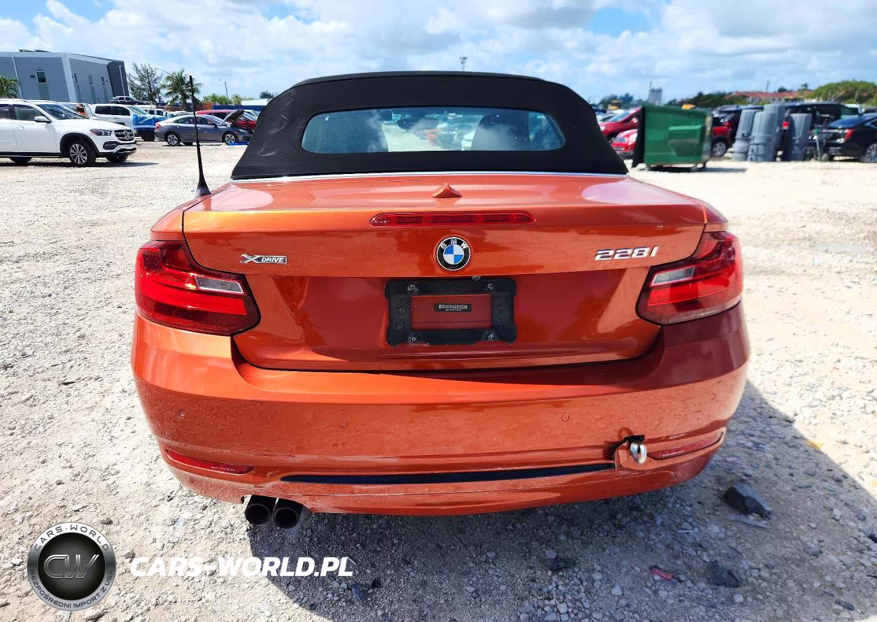 2016 BMW 228 Xi Sulev VIN:WBA1L9C52GV325542 - 6