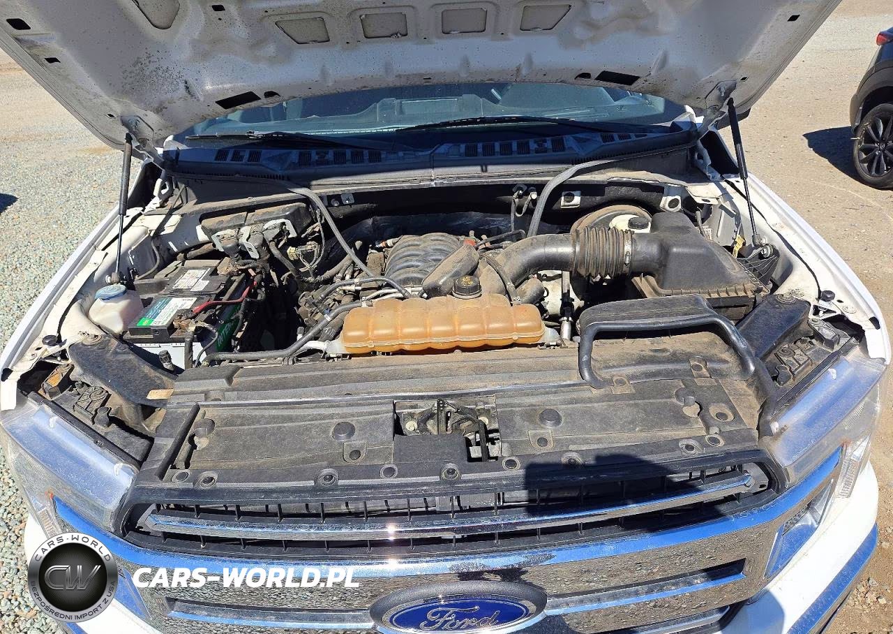 2019 Ford F150 VIN:1FTMF1C54KKE18758 - 11