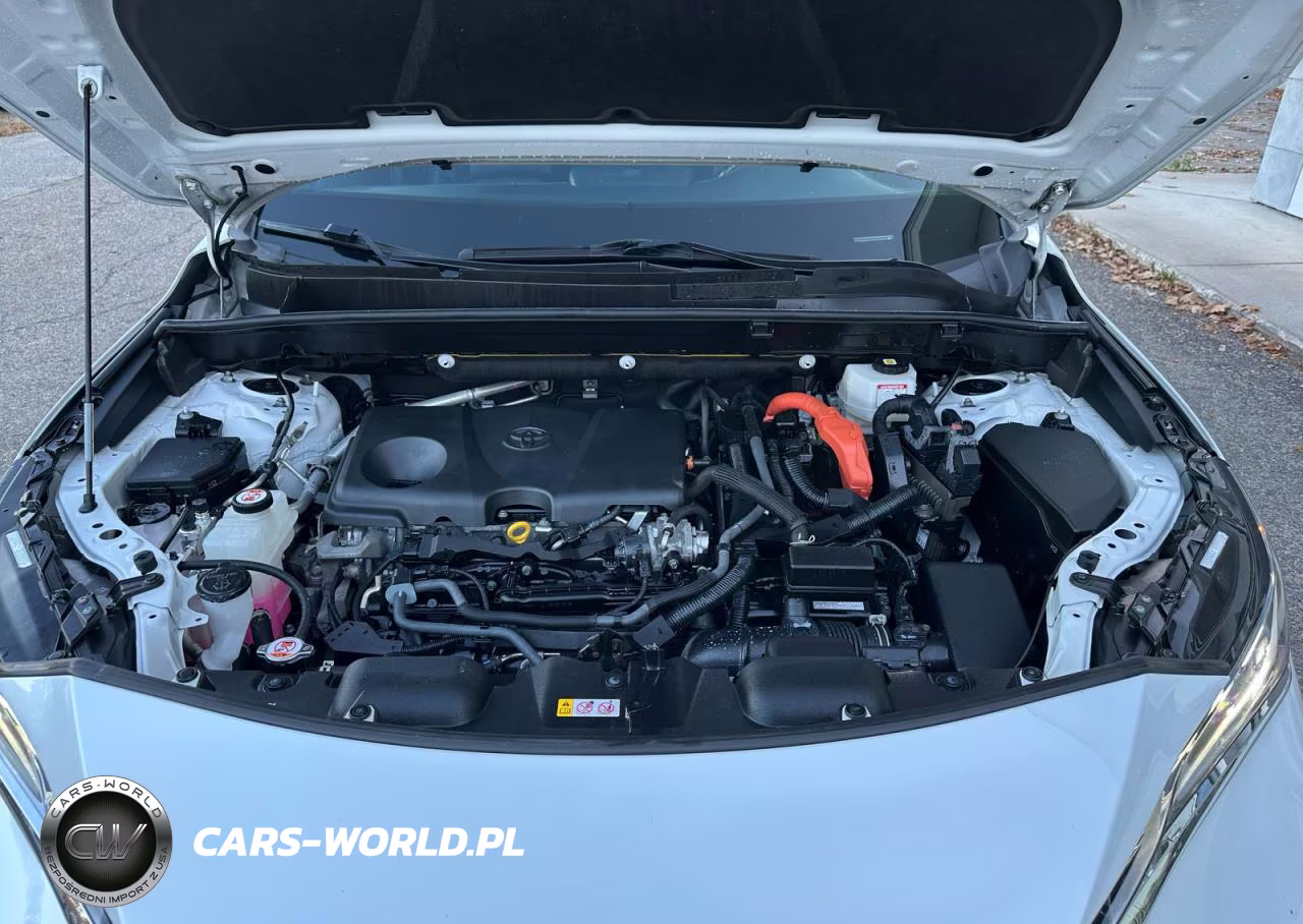 2024 Toyota Venza Xle VIN:JTEAAAAH1RJ162458 - 7