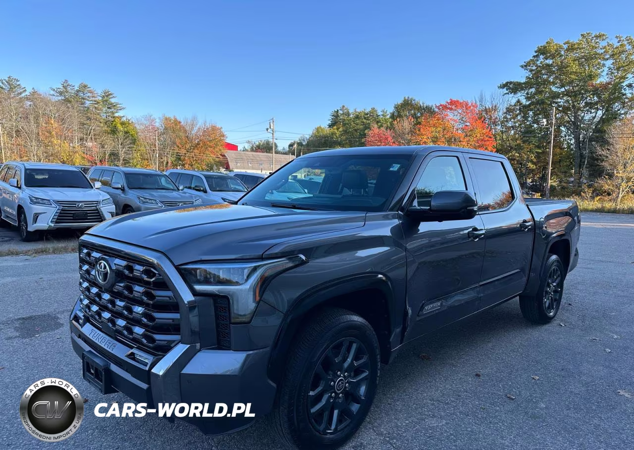 2023 Toyota Tundra Platinum VIN:5TFNA5DB0PX064486 - 2