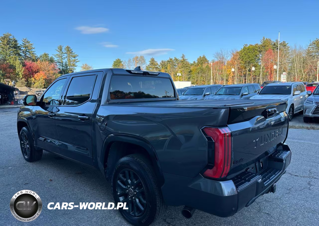 2023 Toyota Tundra Platinum VIN:5TFNA5DB0PX064486 - 3