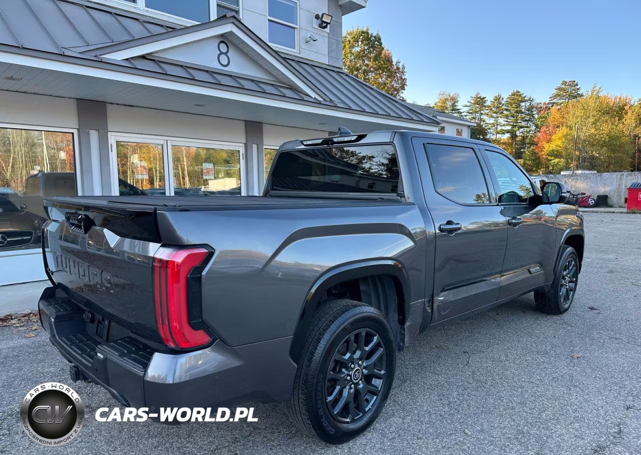 2023 Toyota Tundra Platinum VIN:5TFNA5DB0PX064486 - 4