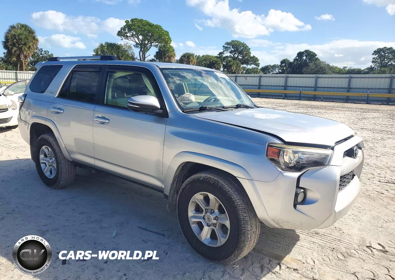 2019 Toyota 4Runner Sr5 Premium VIN:JTEZU5JR5K5192006 - 4