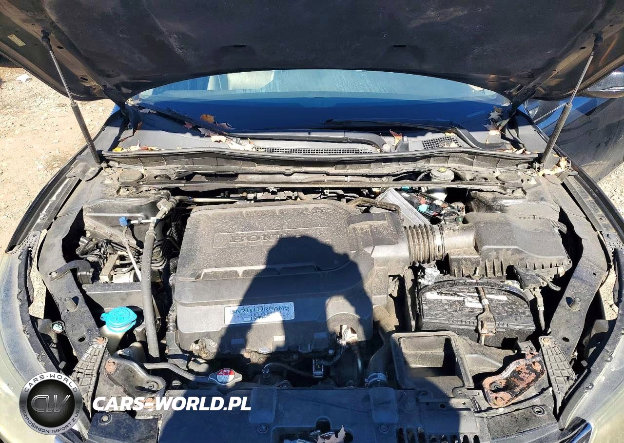 2013 Honda Accord Exl VIN:1HGCR3F84DA015720 - 11