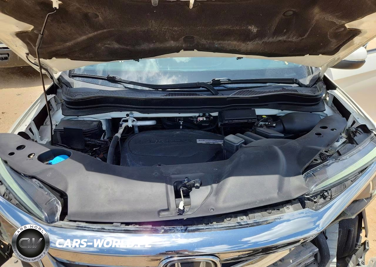 2019 Honda Pilot Exl VIN:5FNYF6H57KB076808 - 12