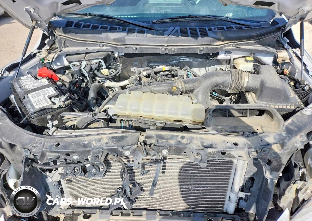2023 Ford F150 Supercrew VIN:1FTEW1EP9PFC31731 - 11