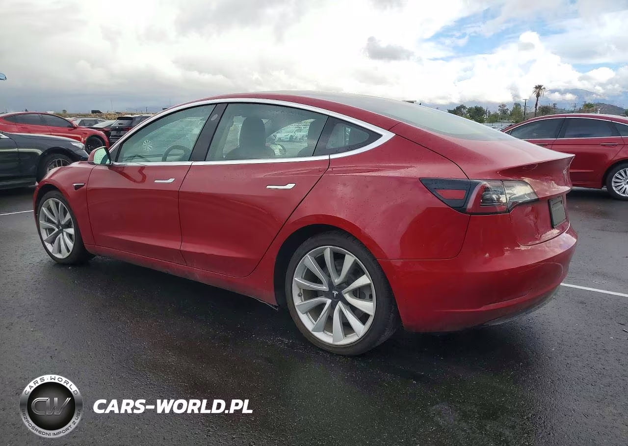 2019 Tesla Model 3 VIN:5YJ3E1EA0KF193695 - 2
