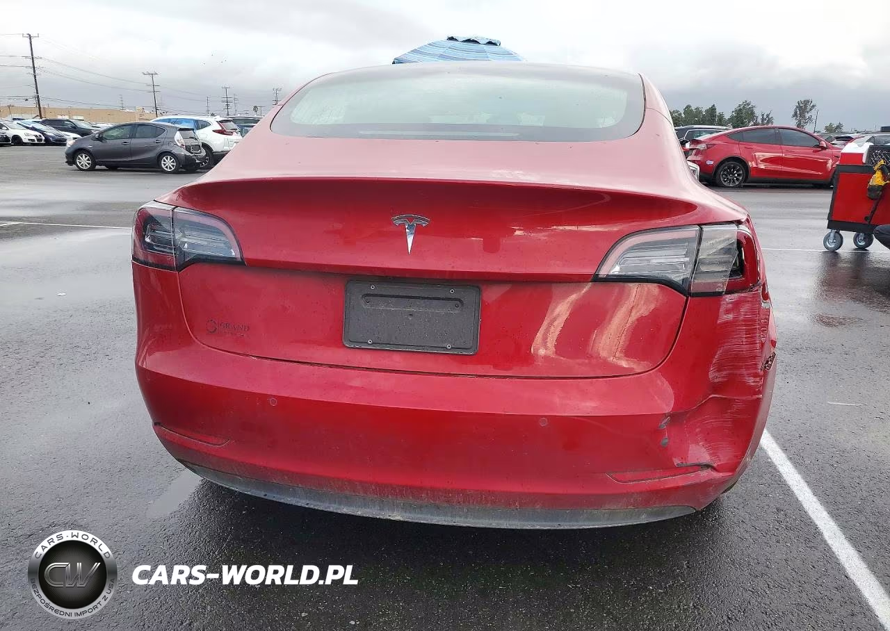 2019 Tesla Model 3 VIN:5YJ3E1EA0KF193695 - 6