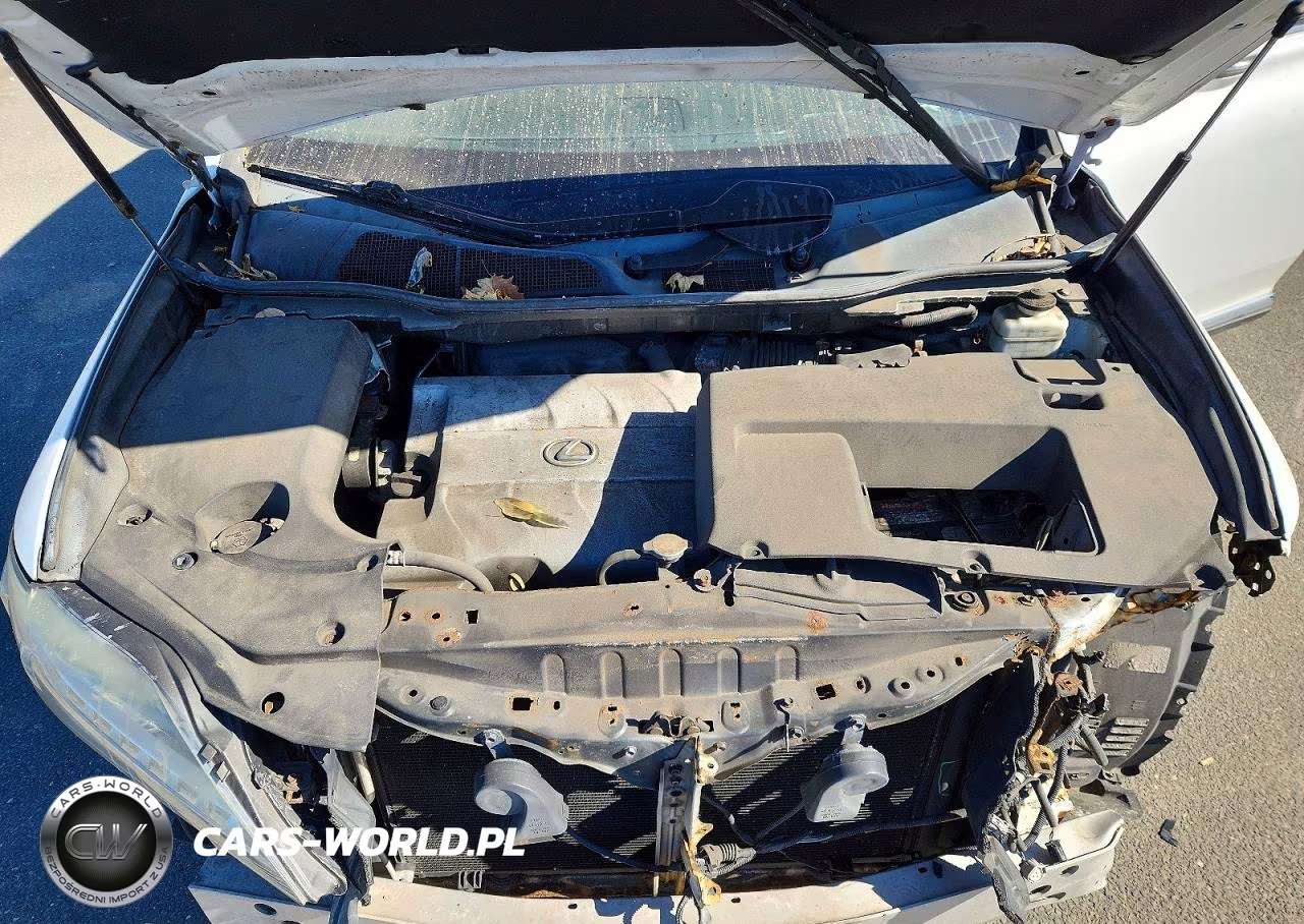 2013 Lexus Rx 350 Base VIN:2T2BK1BA8DC197344 - 12