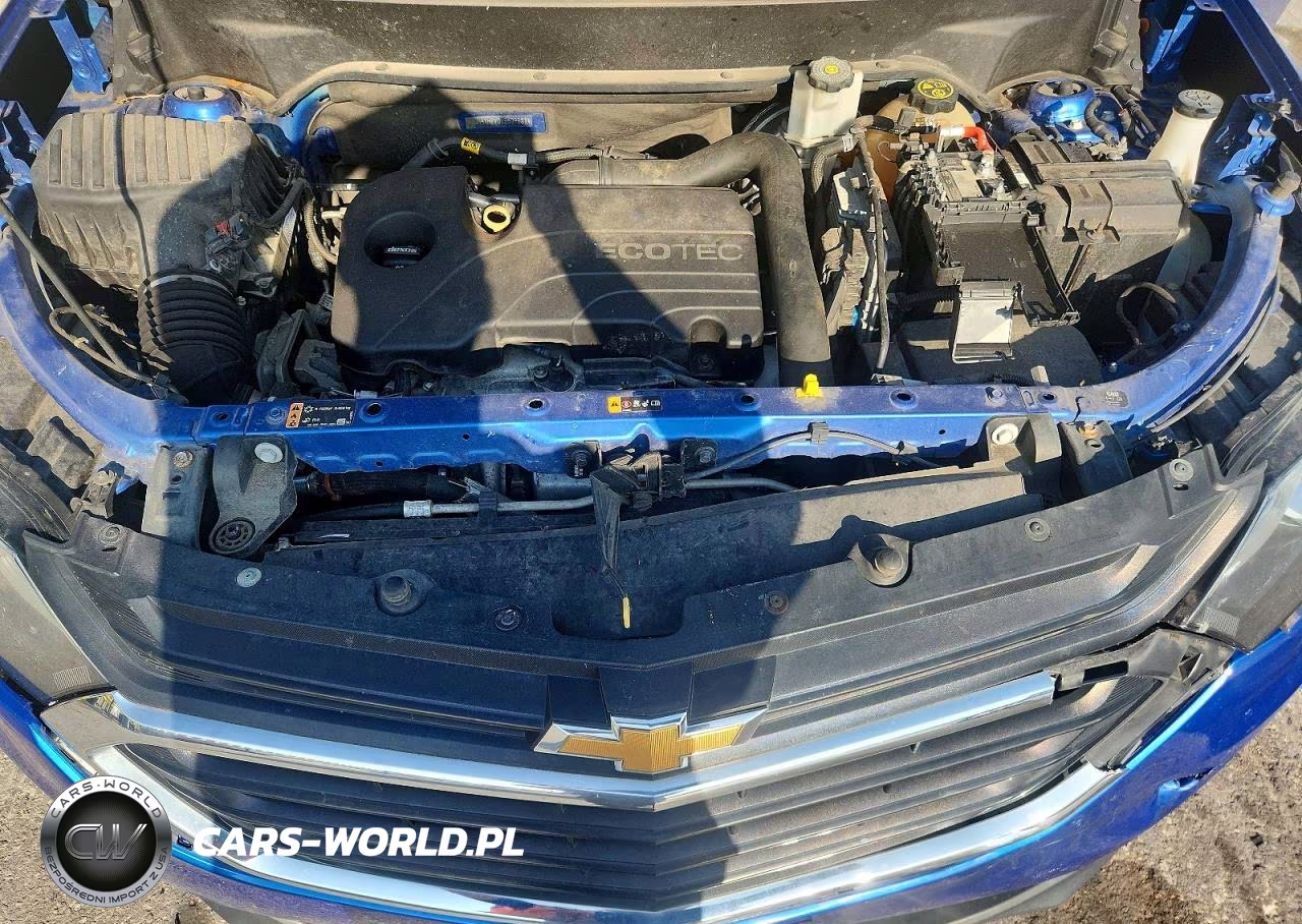 2019 Chevrolet Equinox Ls VIN:3GNAXHEV0KS529681 - 12