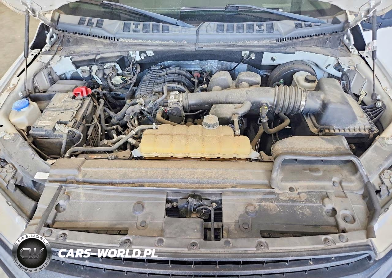 2019 Ford F150 VIN:1FTMF1CBXKKD57633 - 11