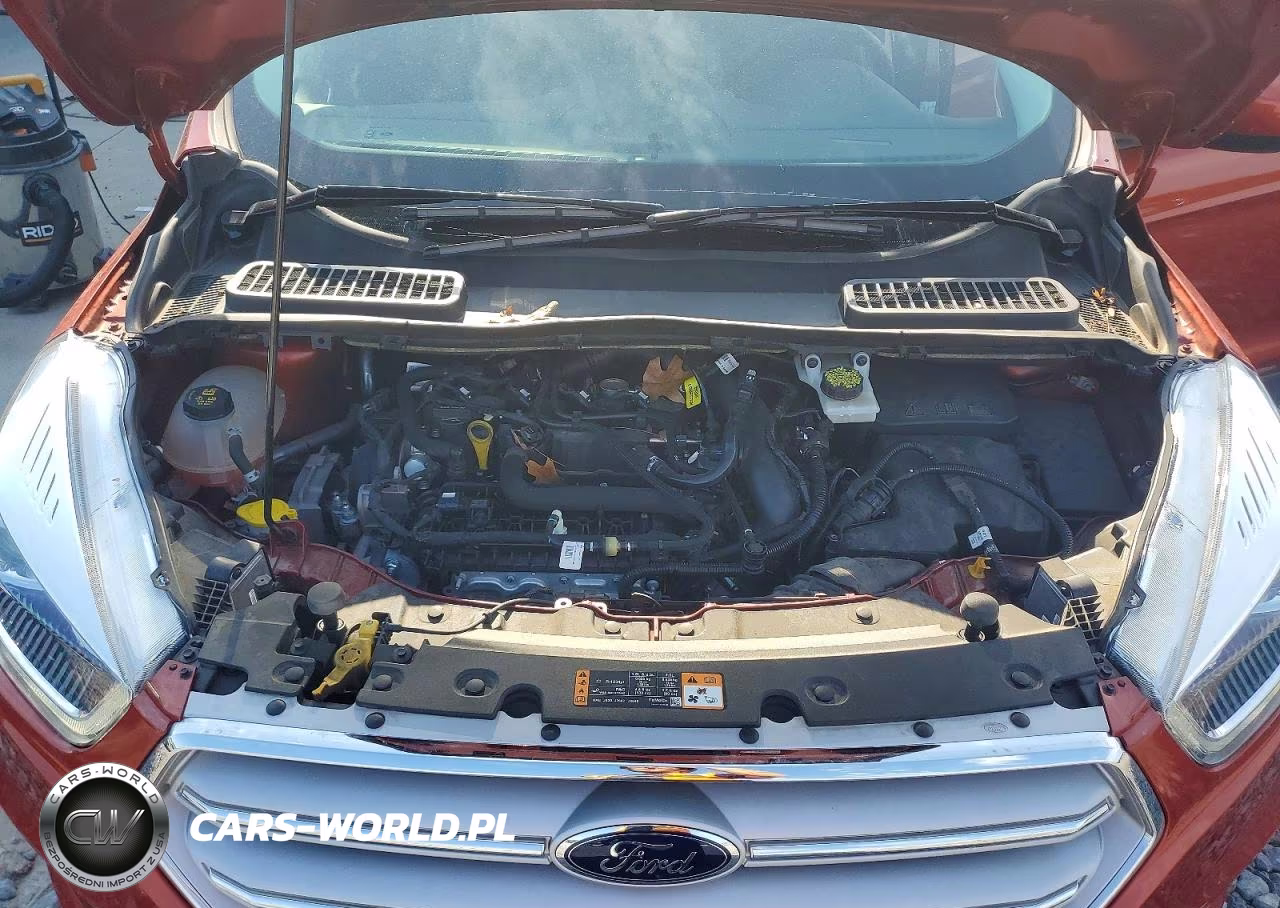 2019 Ford Escape Sel VIN:1FMCU9HDXKUC04700 - 12