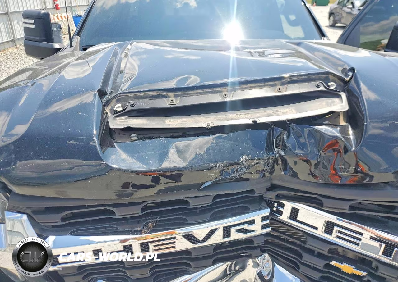 2022 Chevrolet Silverado K3500 Lt VIN:1GC3YTEY9NF107817 - 11