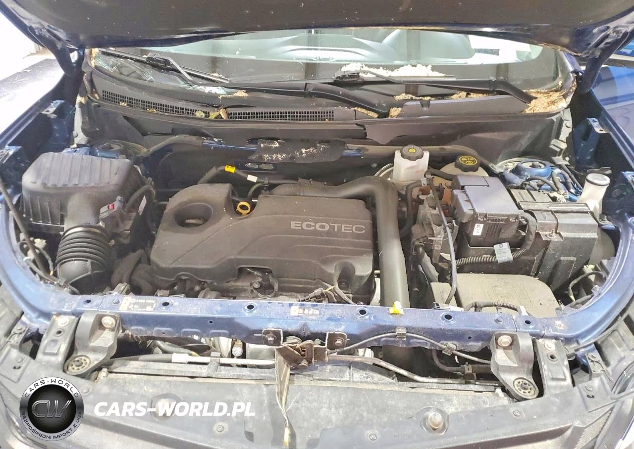2021 Chevrolet Equinox Lt VIN:3GNAXUEV1ML341886 - 12