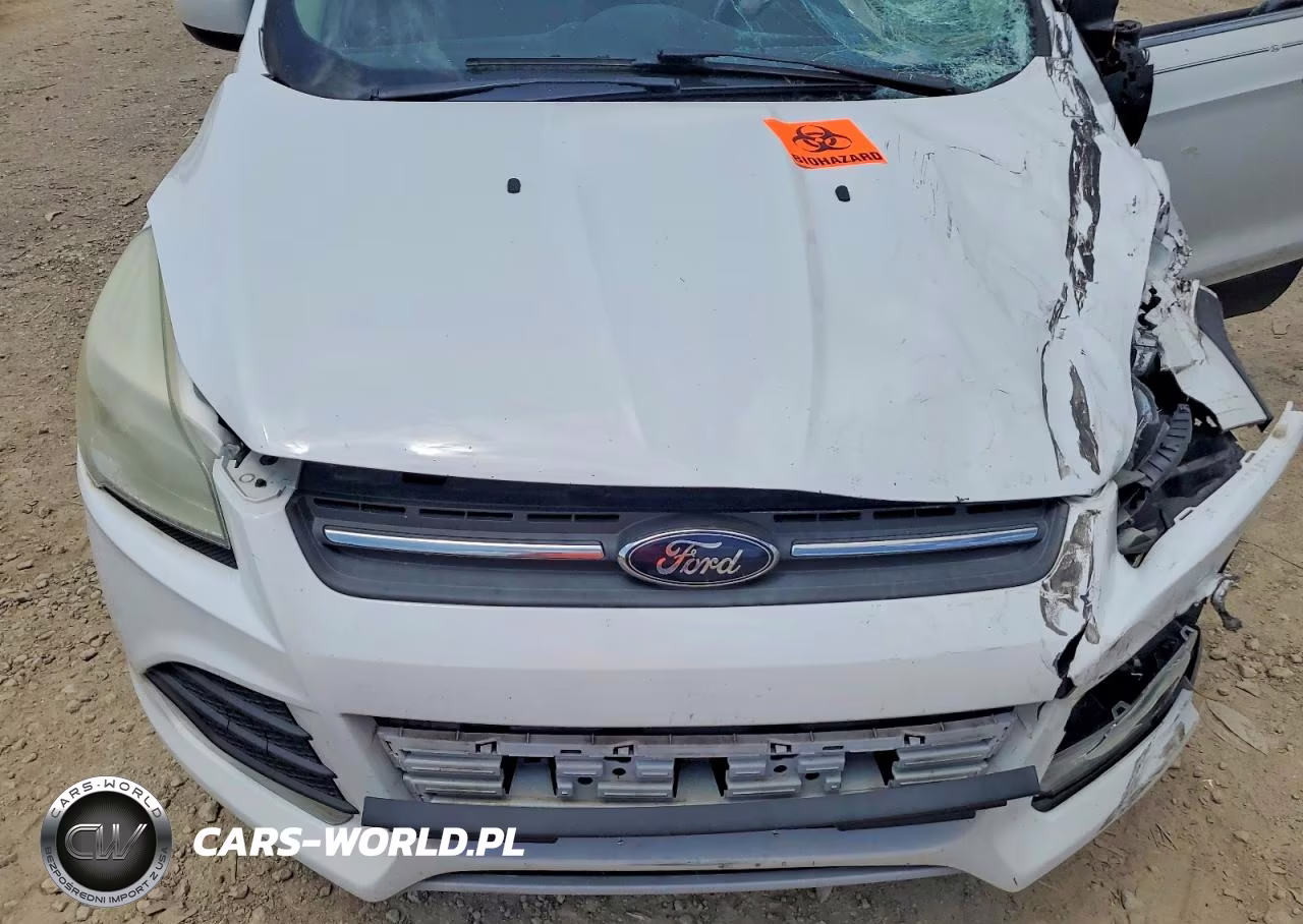 2015 Ford Escape Se VIN:1FMCU0GX1FUB00092 - 12