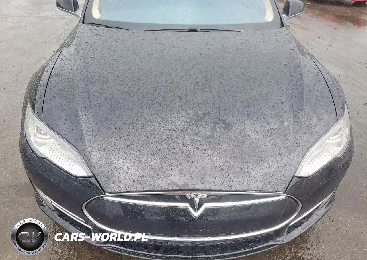 2014 Tesla Model S VIN:5YJSA1S12EFP41471 - 11