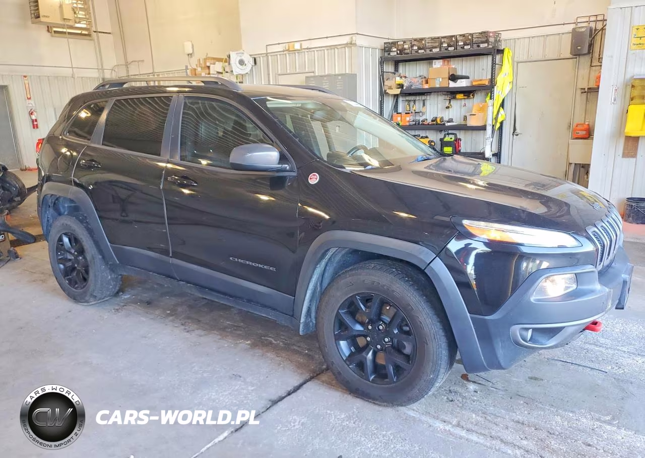 2014 Jeep Cherokee Trailhawk VIN:1C4PJMBS6EW237114 - 4