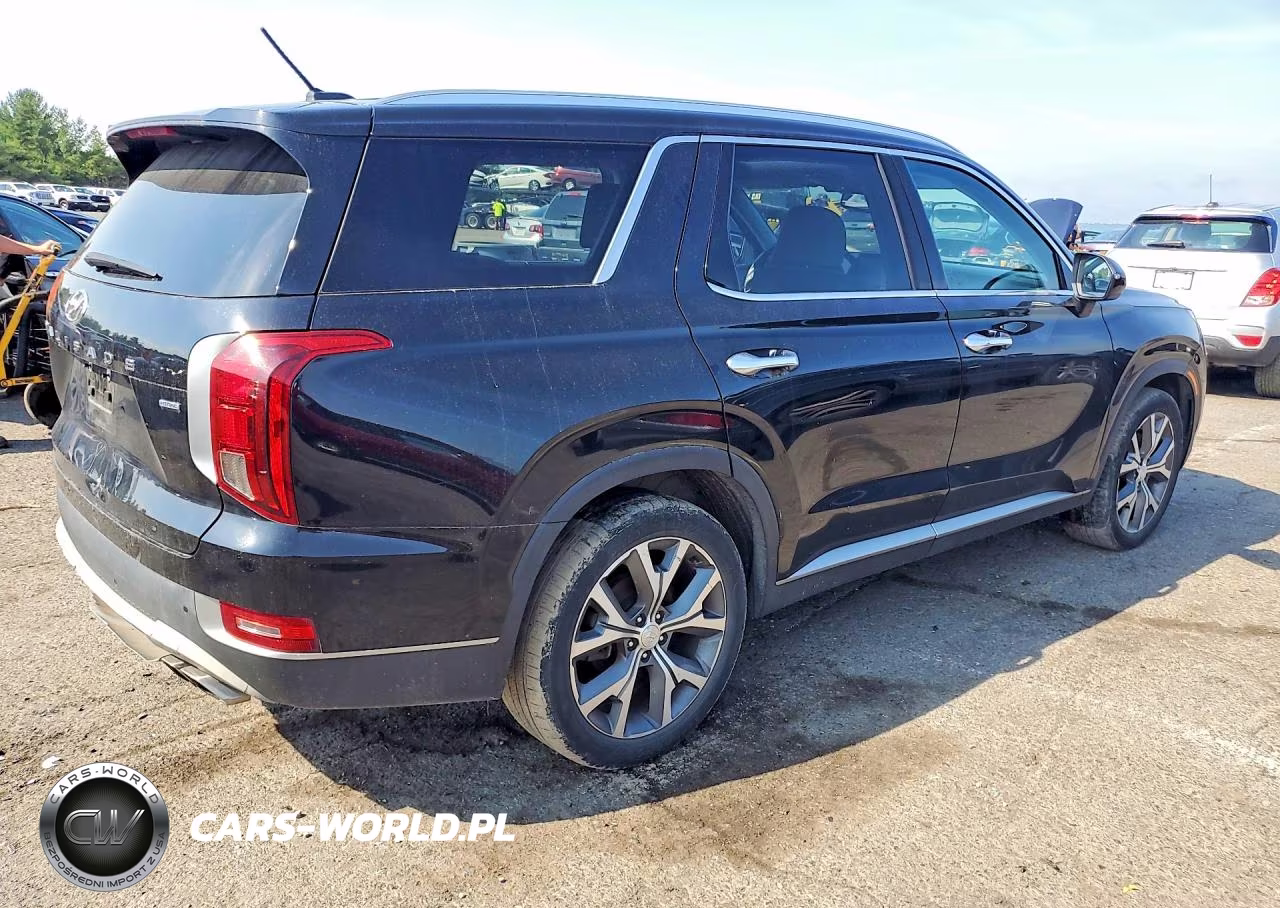 2022 Hyundai Palisade Calligraphy VIN:KM8R3DHE2NU349792 - 3